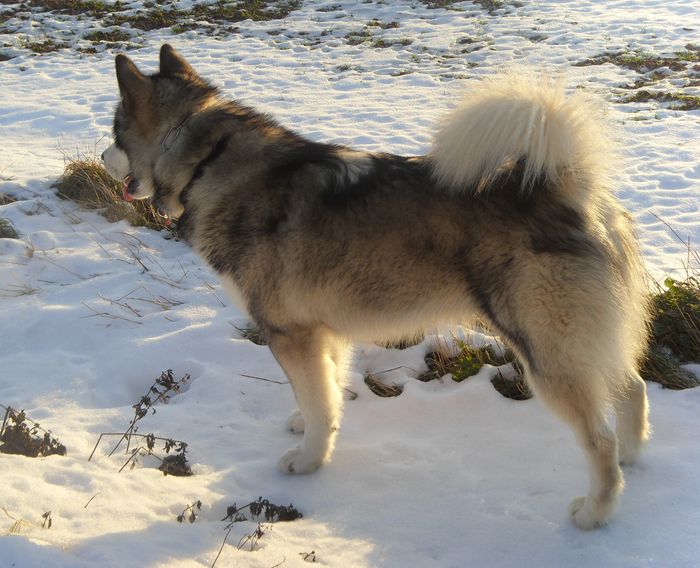 scout 12-2010 6.jpg